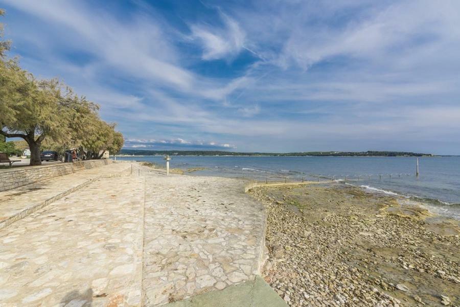 Apartment Lion Novigrad Istria Exteriér fotografie