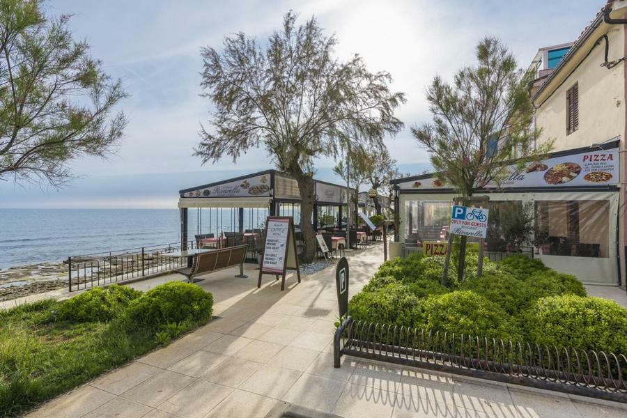 Apartment Lion Novigrad Istria Exteriér fotografie